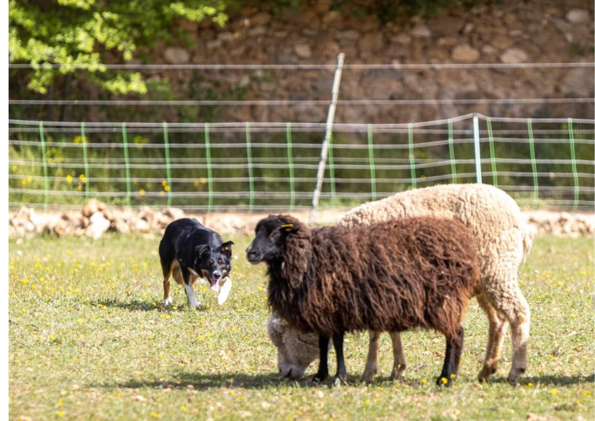 Copie de attestation de formation 14h00 1