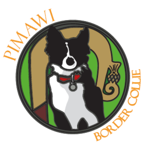 Copie de logo