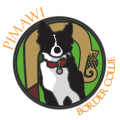 Copie de logo
