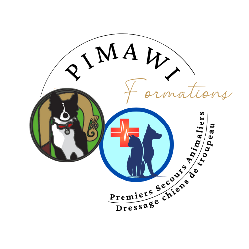 pimawi-formations
